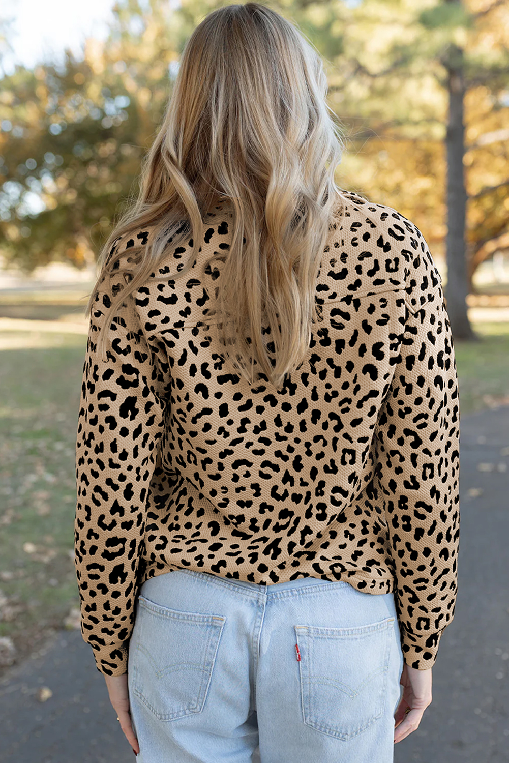 Parchment Leopard Polo Collar V Neck Pullover Top - loveforevers