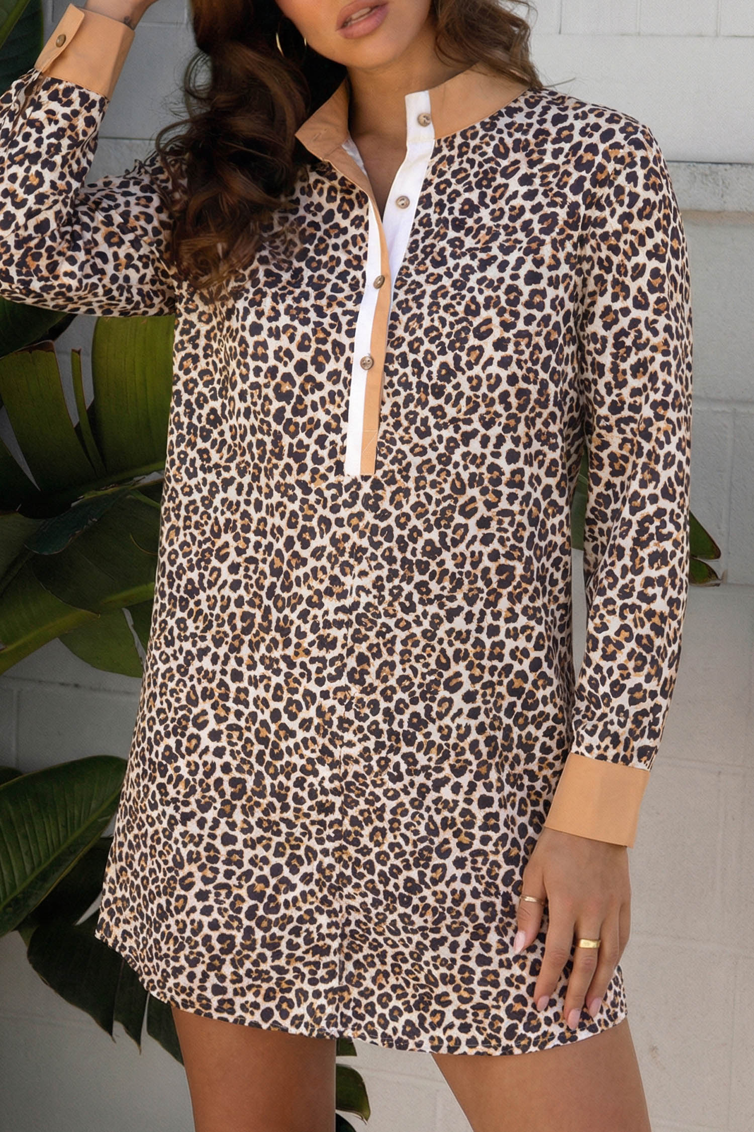 Multicolour Button Striped Collar Leopard Print Long Sleeve Flared Dress - loveforevers